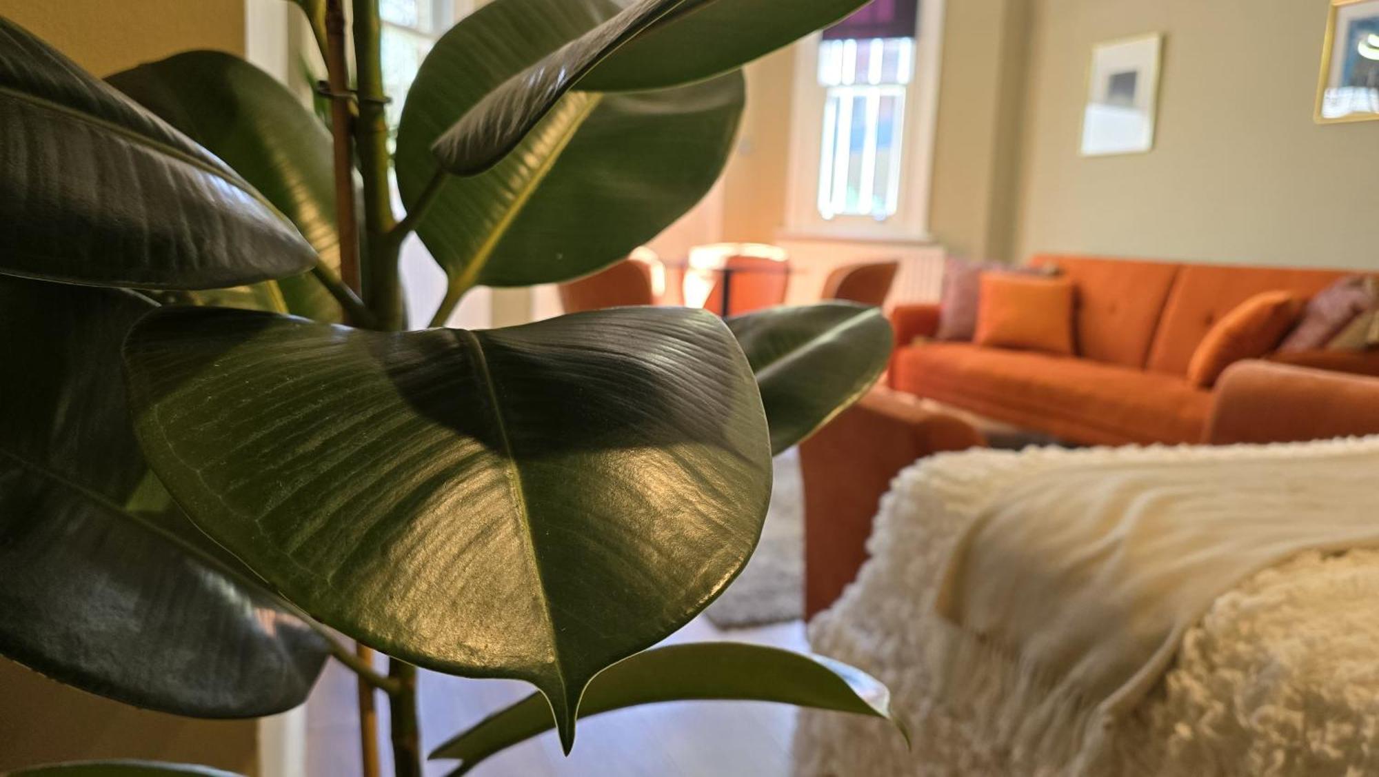 Spacious Studio For 4 Flat Near Regents Park N2 لندن المظهر الخارجي الصورة